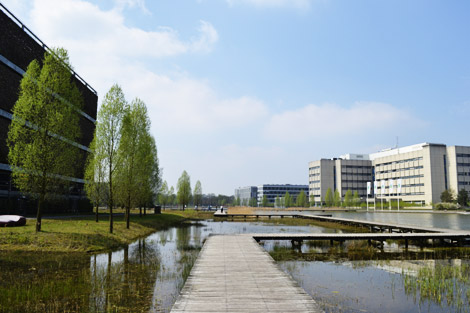 Boardwalk at Philips High Tech Campus, Eindhoven